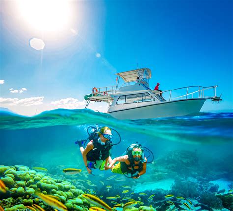 dive tsrip|dive trips bahamas.